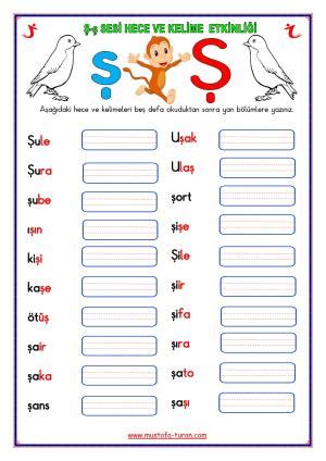 Ş ş Sesi İlk Okuma Yazma Etkinlikleri