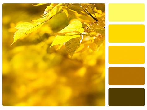 What Do Monochromatic Colors Mean In Art We Explain In Detail