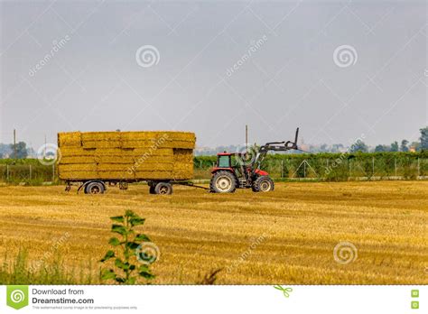 Tractor Loads Hay Bales On Trailer Stock Image Image Of Tractor