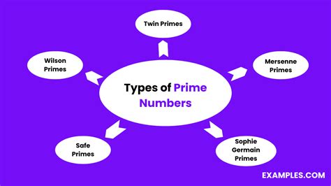 Prime Number Examples Properties Types Rules