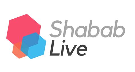 Renforcer la voix des jeunes dans les médias projet Shabablive financé