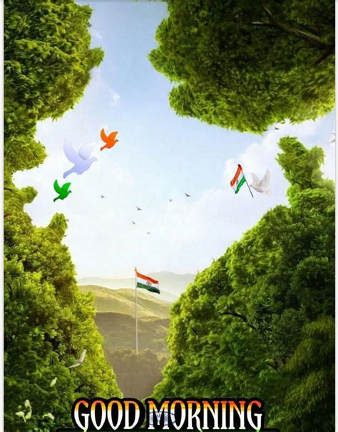 An Advertisement For Good Morning India With Trees And Birds Flying In