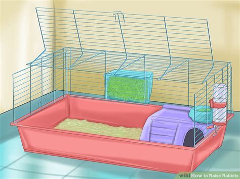 How To Raise Rabbits 14 Steps With Pictures Wikihow