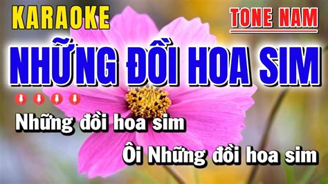 Karaoke Những Đồi Hoa Sim Tone Nam Nhạc Sống Dễ Hát Karaoke Minh Nhật