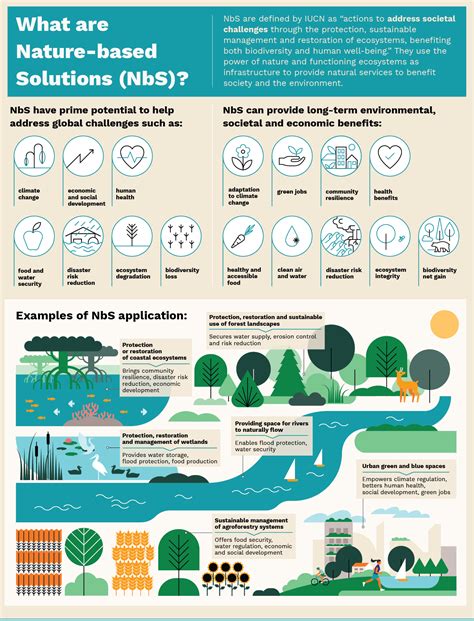 The Power Of Nature Based Solutions In Building Climate Resilient