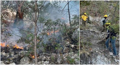 Tres Incendios Forestales En El Estado Afectan 416 Hectáreas Conafor