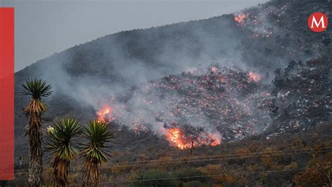 Incendio Consume Hect Reas En Tamaulipas Se Ala Protecci N Civil