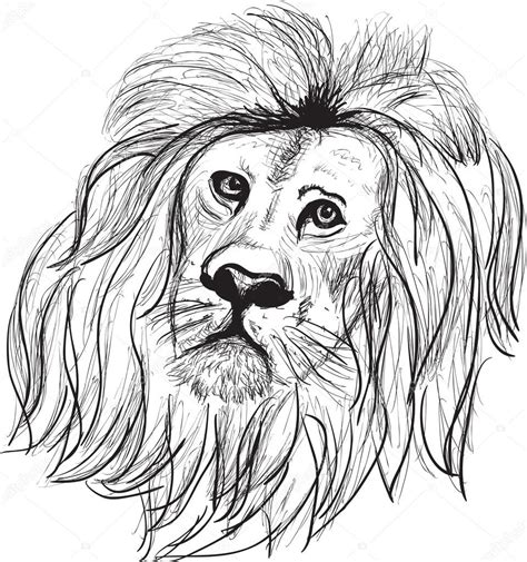 Lion head sketch Stock Vector by ©Dr.PAS 55586865