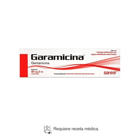 Garamicina Gentamicina Mg Ml Soluci N Inyectable Jeringa