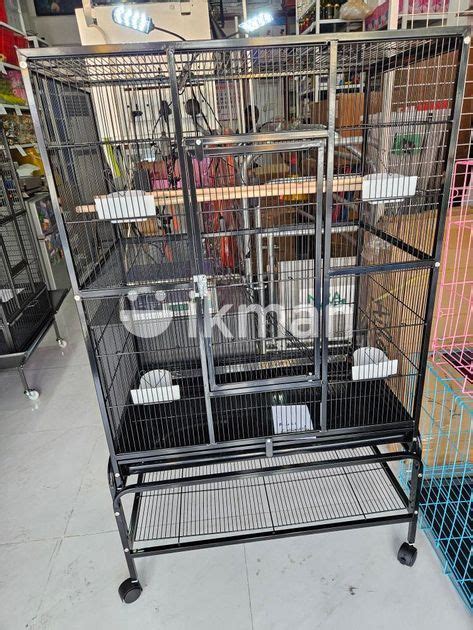 Bird Cage For Sale In Mount Lavinia Ikman