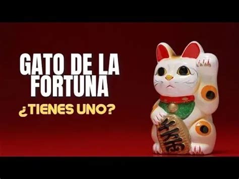 Descubre La Historia Y El Significado Del Maneki Neko El Gato De La