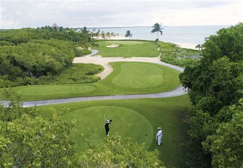 tree top golf course rates - Pamila Burris