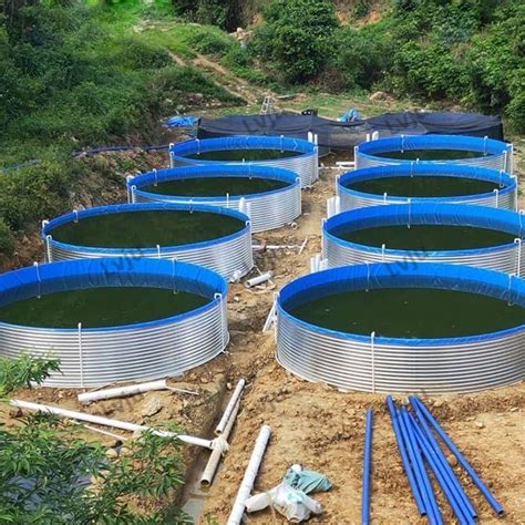 Lvju Custom Aquaculture Fish Tank Suppliers Pvc Tarpaulin Round Fish