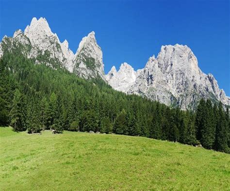 Trentino A Piedi Nudi Nella Val Canali Per Ritrovare Il Contatto Con