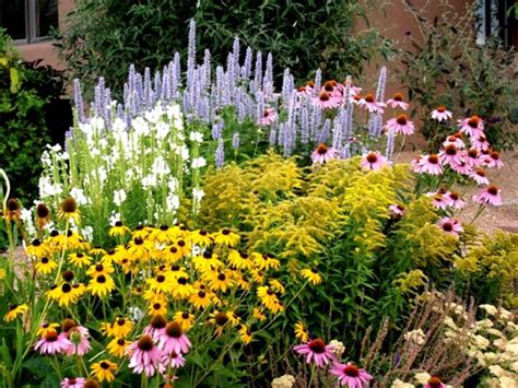 Pollinator Friendly Perennial Flowers Garden Bed That Are Hardy And