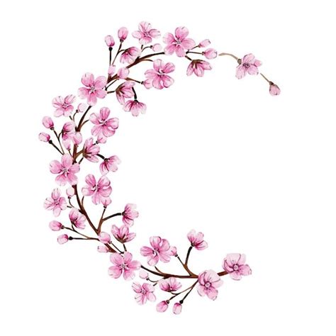 Pink Flowers Arranged In A Circle On A White Background