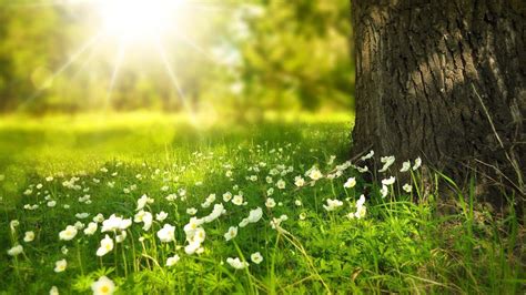 Musica Rilassante Con Bellissime Immagini Della Natura Per Meditare