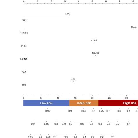 Nomogram Prediction Model For Os Of Ec Patients Underwent Radical