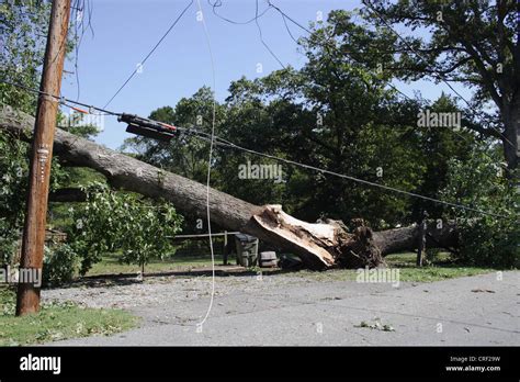 Tropical storm Irene causes widespread power outages in Virginia. Irene's winds toppled large ...