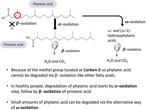 Phytanic acid pathway and Refsum disease | PPT