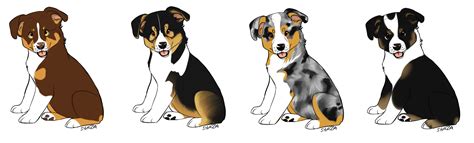 Australian Shepherd Puppy Designs - OPEN by ForgottenAmnesty on DeviantArt