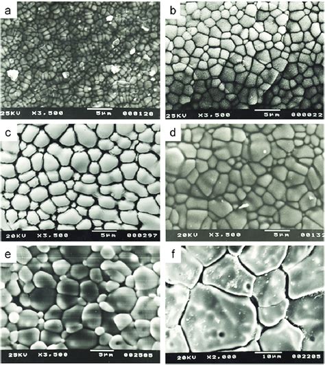 High Magnification Upper Surface View Sem Micrographs Of The Sealed