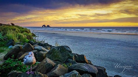 Rockaway Beach Oregon : r/OregonCoast