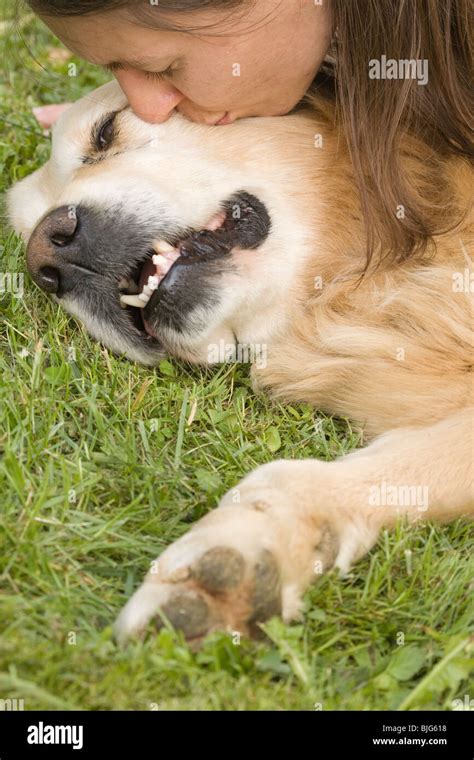 Girl kissing golden Retriever , Slovenia Stock Photo - Alamy