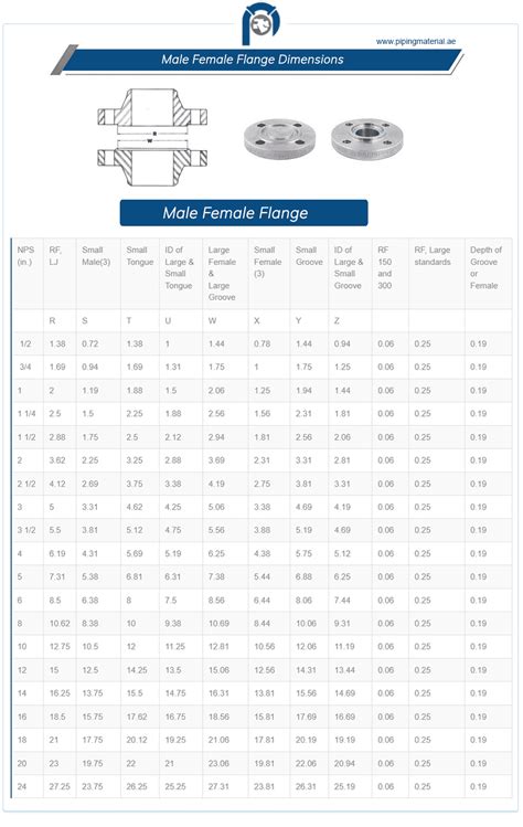 Male Female Flange Carbon Stainless Steel Male And Female Face Flange