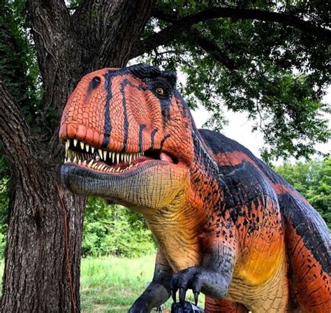 Heard Museum - Dinosaurs Live! Dinosaur Exhibit in McKinney, Texas