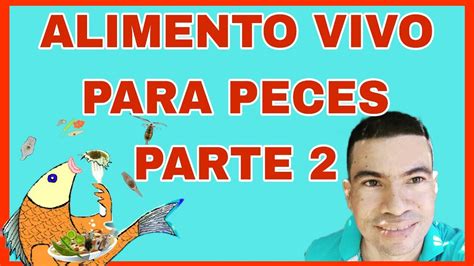 Alimento Vivo Para Peces Acuicultura Todo Lo Que Debes Saber Youtube