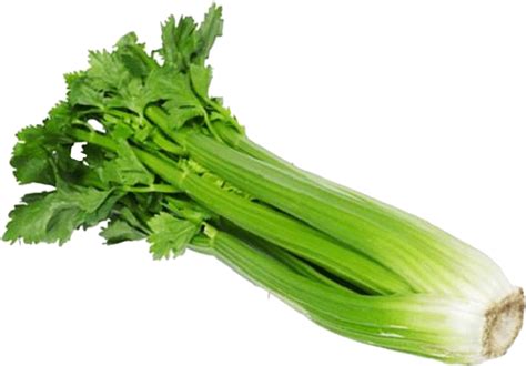 Celery Png Transparent Image Download Size 861x600px