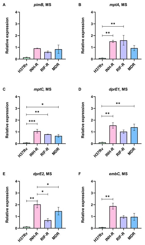 Antibiotics | Free Full-Text | Mycobacterium tuberculosis Adaptation in