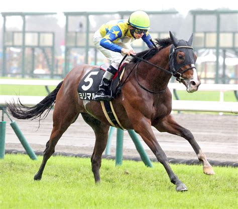 【中京9r・大寒桜賞】ヨリマルが2勝目 横山和生騎手「馬場はマイナスにならなかった」 スポーツ報知