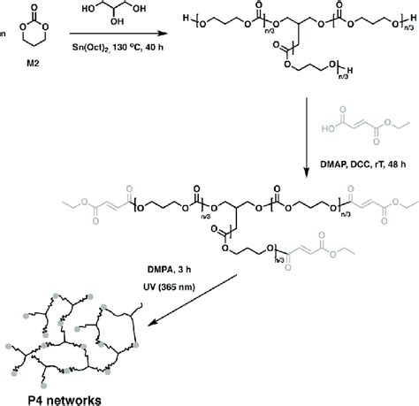 Synthesis Of P4 Networks Through Uv Cross Linking Of Fumaric Acid