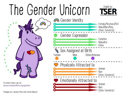 Let S Talk About Gender And Unicorns — Dawson Women S Shelter