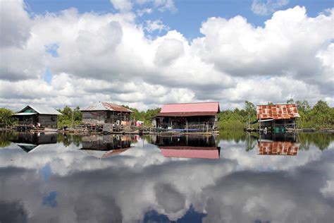 Ekosistem Lahan Basah Terancam Dan Diancam Krisis Lingkungan