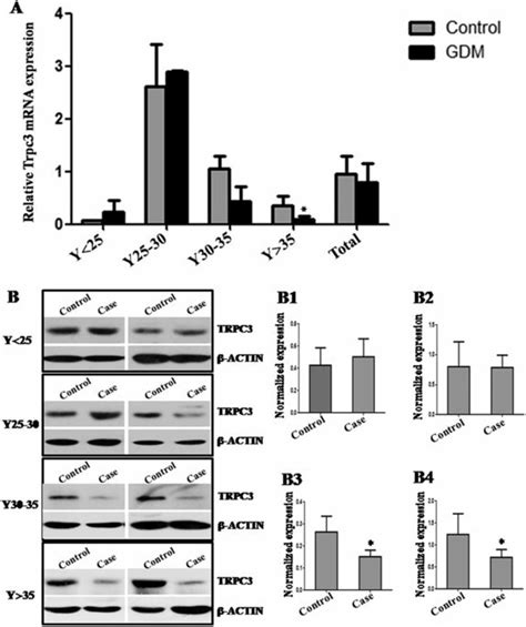 Trpc3 Expression In GDM Placental Tissues The Trpc3 Expression In The