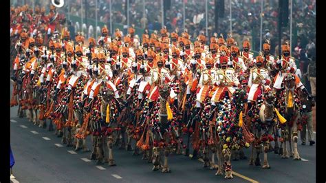 Camel Show By Bsf Camel Regiment Rann Of Kutch Youtube