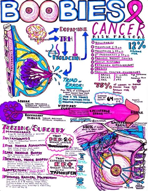 Obgyn Notes Nursing School Survival Nursing School Notes Medical