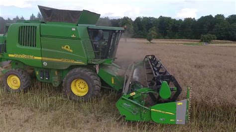 Raps Ernte John Deere Cts Am Raps Dreschen Wildschweine Im Feld