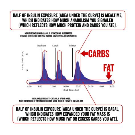 Making Sense Of The Food Insulin Index Optimising Nutrition