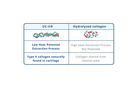 Undenatured Type Ii Collagen Vs Hydrolyzed Collagen Vets Opinion