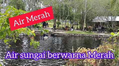 Berenang Disungai Air Merah Wisata Alam Surung Danum Wisatalam