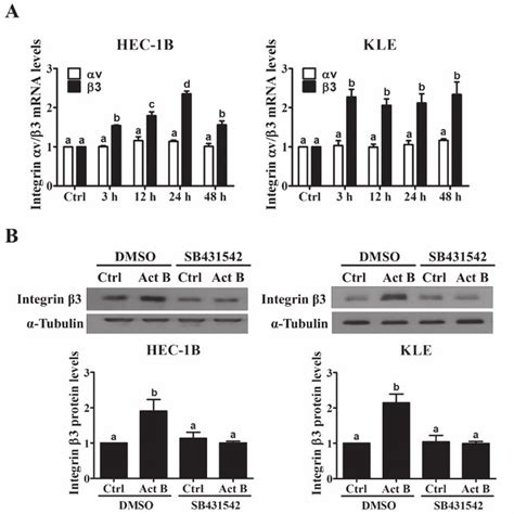 Activin B Up Regulates Integrin Expression In Endometrial Cancer