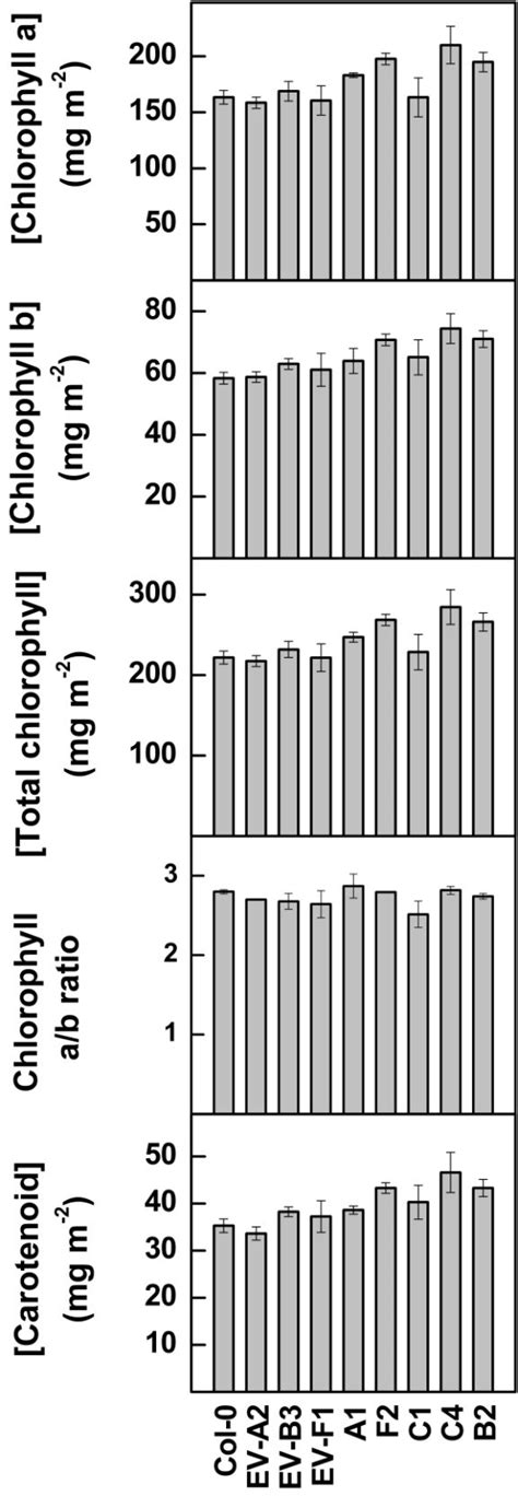 Comparison of photosynthetic pigment concentrations in Arabidopsis ...