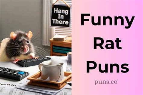 135 Rat Puns To Leave You Rattling With Laughter