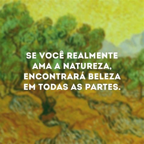 Frases De Van Gogh Para Mergulhar No Mundo Das Artes Frases