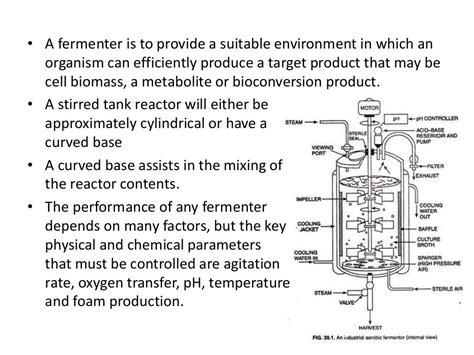 Stirred tank bioreactor