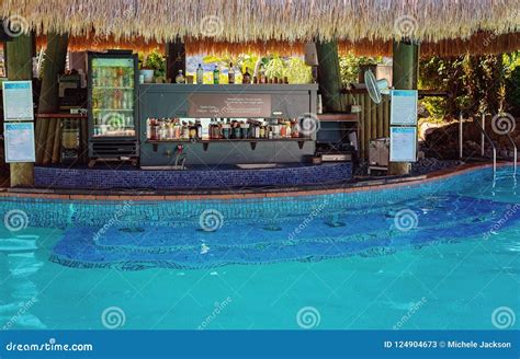 Swim Up Cocktail Bar in a Swimming Pool Stock Image - Image of party ...